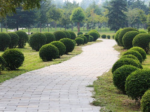 小区业主委员会为何成立难？