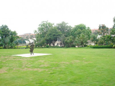 园林绿化养护工程