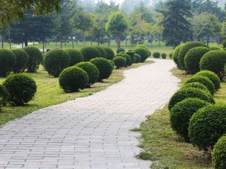 小区业主委员会为何成立难？