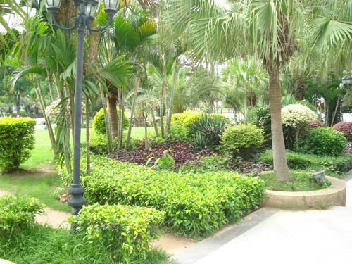 东莞园林绿化养护